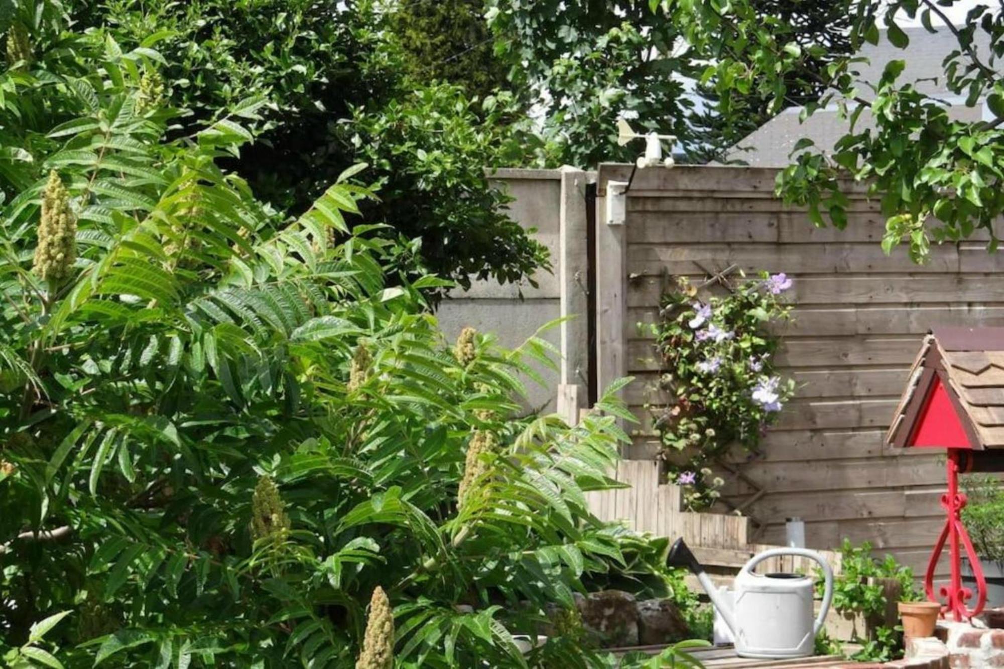 Clos Des Paquerettes : Maison Avec Jardin Privatif Yvetot Exterior foto
